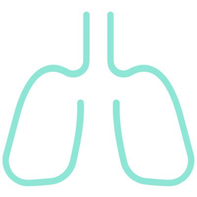 illustration of lungs