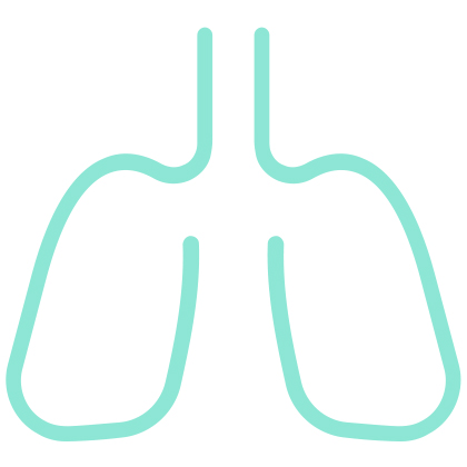 illustration of lungs